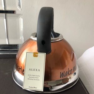 Alexa stainless steel whistling tea kettle